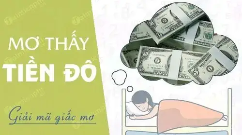 Nằm Mơ Thấy Tiền Đô Đánh Số Mấy Nằm Mơ Thấy Tiền Đô Đánh Số Mấy
