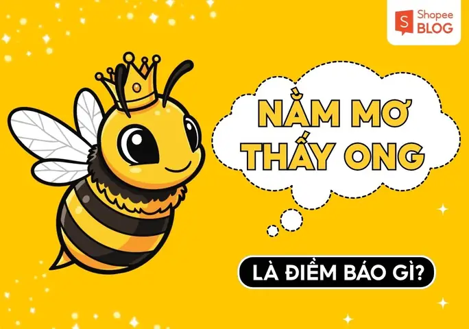 Nằm Mơ Thấy Tiền Là Điềm Báo Gì
