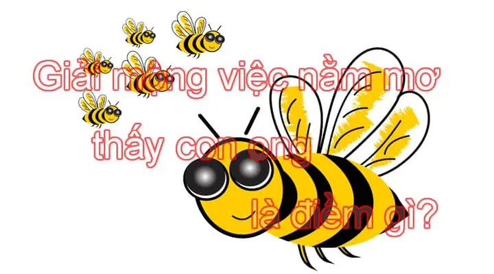 Nằm Mơ Thấy To Ong Mật La Điềm Gì