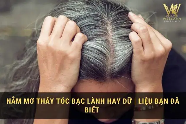 Nằm Mơ Thấy Tóc Bạc Là Điềm Báo Gì