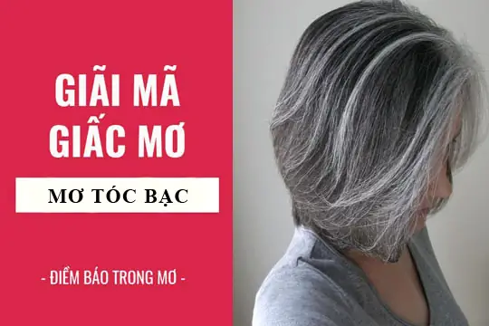 Nằm Mơ Thấy Tóc Bạc Là Điềm Báo Gì