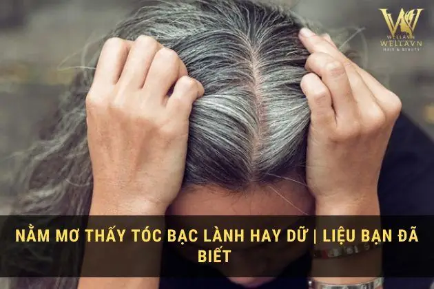 Nằm Mơ Thấy Tóc Bạc Là Điềm Báo Gì