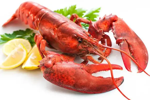 Nằm Mơ Thấy Tôm Tép Đánh Đề Con Gì Nằm Mơ Thấy Tôm Tép Đánh Đề Con Gì