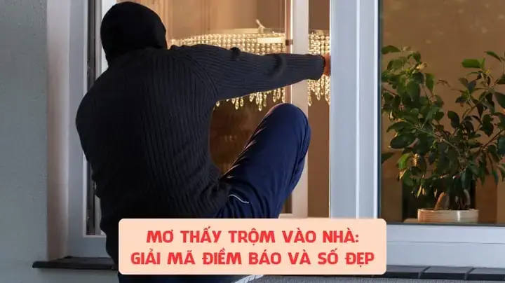 Nằm Mơ Thấy Trộm Vào Nhà Lấy Tiền