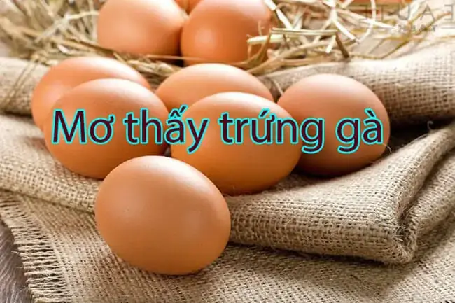 Nằm Mơ Thấy Trứng Gà Đánh Số May