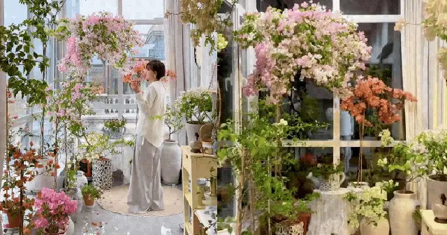 Nằm Mơ Thấy Vườn Hoa Nở Rực Rỡ