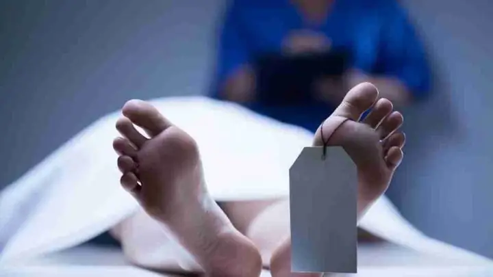Nằm Mơ Thấy Xác Chết Đánh Số May