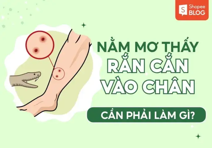 Nằm Ngủ Mơ Thấy Bị Rắn Cắn Vào Chân Nằm Ngủ Mơ Thấy Bị Rắn Cắn Vào Chân