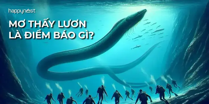 Ngủ Mơ Thấy 2 Con Lươn Đánh De Con Gì