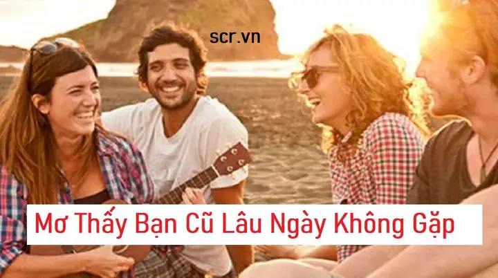 Ngủ Mơ Thấy Bạn Cũ Lâu Ngày Không Gặp Đánh Con Gì Ngủ Mơ Thấy Bạn Cũ Lâu Ngày Không Gặp Đánh Con Gì