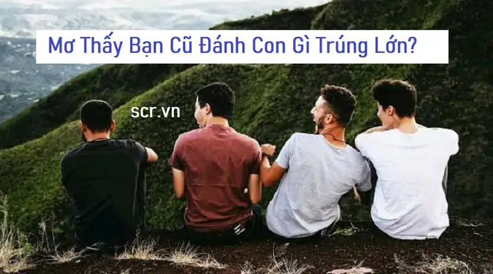Ngủ Mơ Thấy Bạn Cũ Lâu Ngày Không Gặp Đánh Con Gì