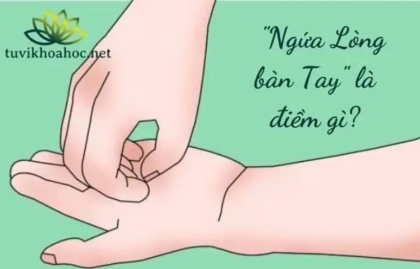 Ngứa Lòng Bàn Tay Trái Nam Là Điềm Gì Ngứa Lòng Bàn Tay Trái Nam Là Điềm Gì