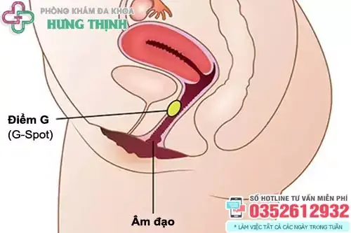 Ngứa Rốn Là Điềm Gì Ngứa Rốn Là Điềm Gì