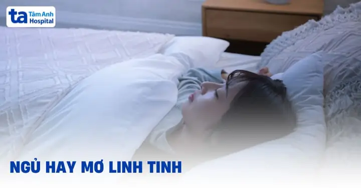 Người Ngủ Hay Mơ Là Người Như Thế Nào Người Ngủ Hay Mơ Là Người Như Thế Nào