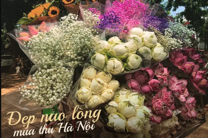 Người Xao Xuyến Điềm Báo Người Xao Xuyến Điềm Báo