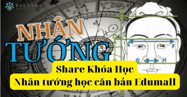 Nhân Tướng Học Căn Bản Nhân Tướng Học Căn Bản
