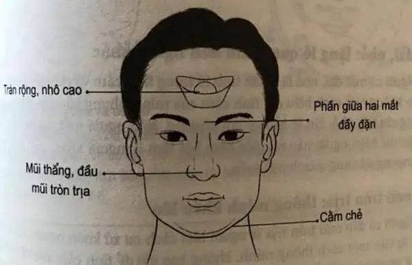Nhân Tướng Học, Đàn Ông Nhân Tướng Học, Đàn Ông