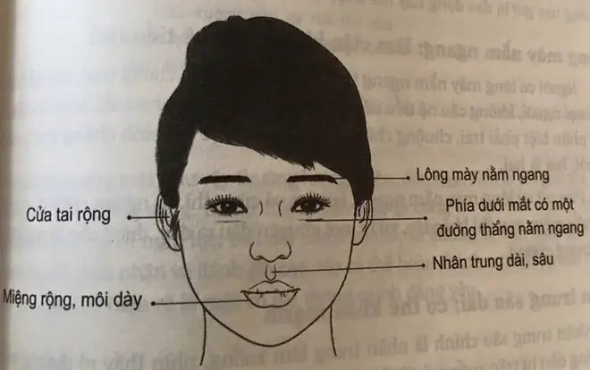 Nhân Tướng Học Phụ Nữ Nhân Tướng Học Phụ Nữ