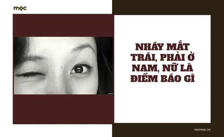 Nháy Mắt Trái Ở Nam La Điềm Gì
