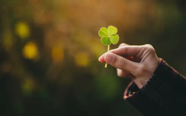 Những Điềm Báo Xui Những Điềm Báo Xui