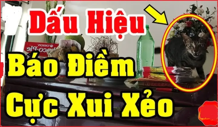Những Điềm Báo Xui