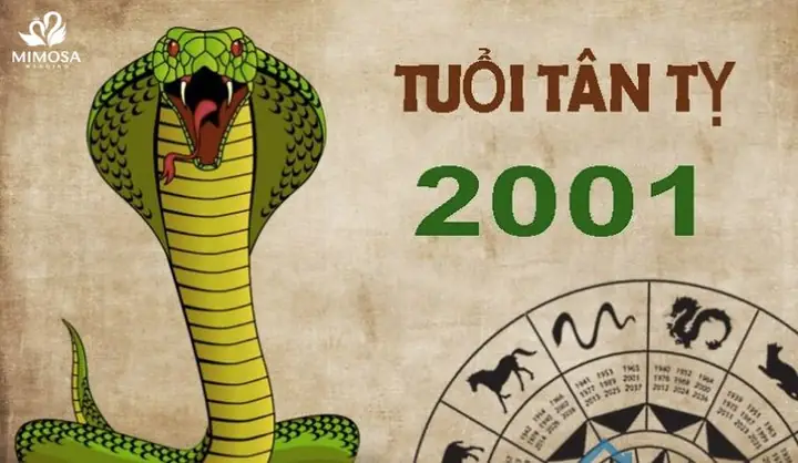 Nữ 2001 Tướng Tinh Con Gì Nữ 2001 Tướng Tinh Con Gì
