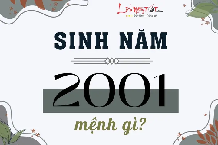 Nữ 2001 Tướng Tinh Con Gì