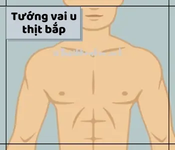 Phụ Nữ Có Tướng Vai U Thịt Bắp