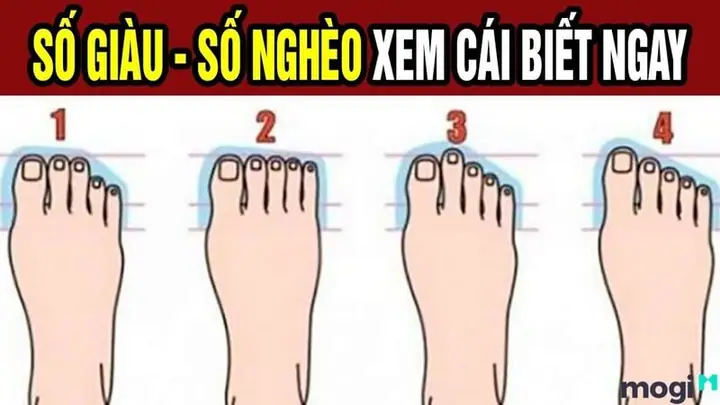 Phú Quý Tướng Giàu Xem Tướng Bàn Chân Phú Quý Tướng Giàu Xem Tướng Bàn Chân