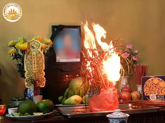 Quả Rơi Vào Người Là Điềm Gì