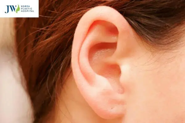 Quý Tướng Của Phụ Nữ