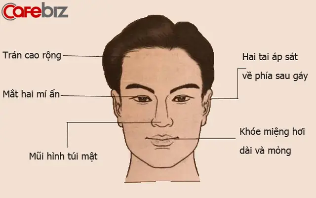 Quý Tướng Đàn Ông