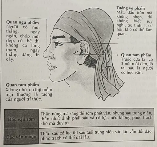 Quý Tướng Là Gì