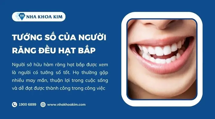 Răng Đều Hạt Bắp Tướng Số