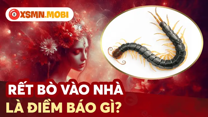Rết Bò Lên Người La Điềm Gì