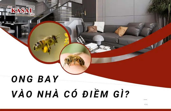 Ruồi Bay Quanh Người Là Điềm Gì