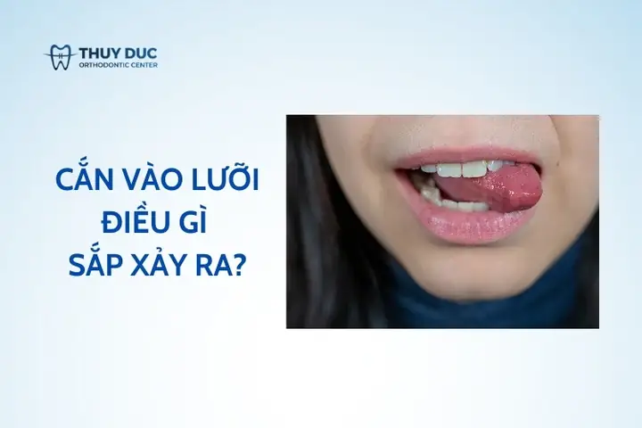 Số 9 Là Điềm Báo Gì Số 9 Là Điềm Báo Gì