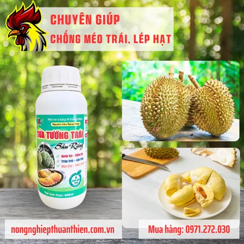 Sửa Tướng