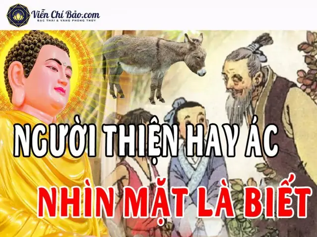 Tâm Sinh Tướng, Tướng Sinh Mệnh Tâm Sinh Tướng, Tướng Sinh Mệnh