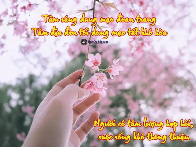 Tâm Sinh Tướng, Tướng Sinh Mệnh Tâm Sinh Tướng, Tướng Sinh Mệnh