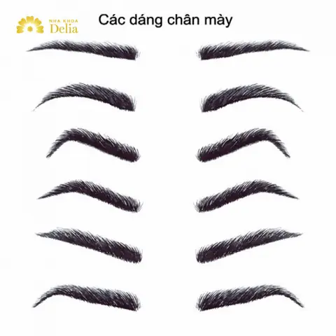 Tất Cả Tướng Lông Mày