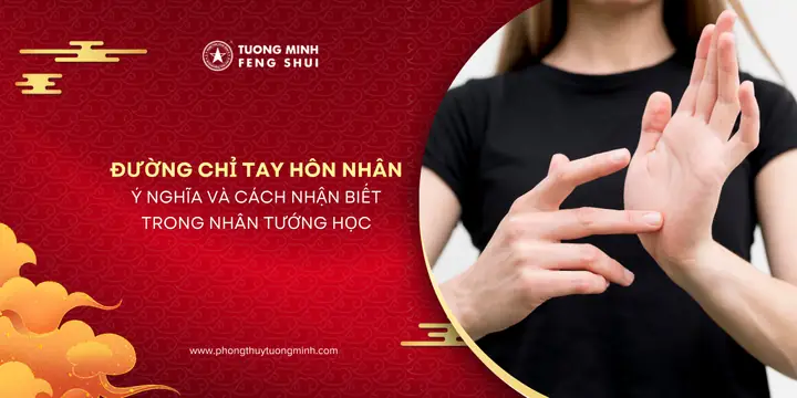 Trang Web Chuyên Về Tướng Tay