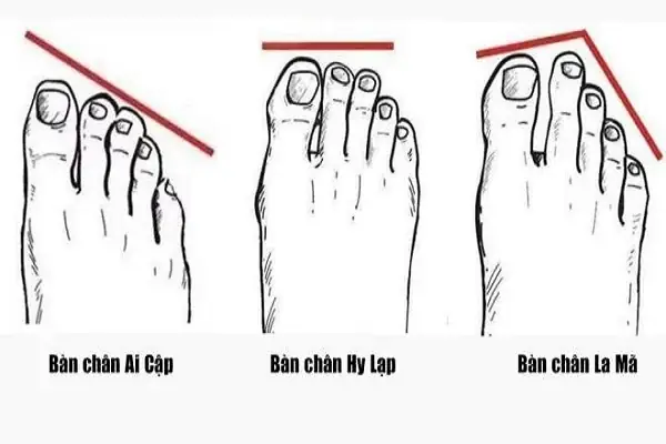 Tướng Bàn Chân Dài Tướng Bàn Chân Dài