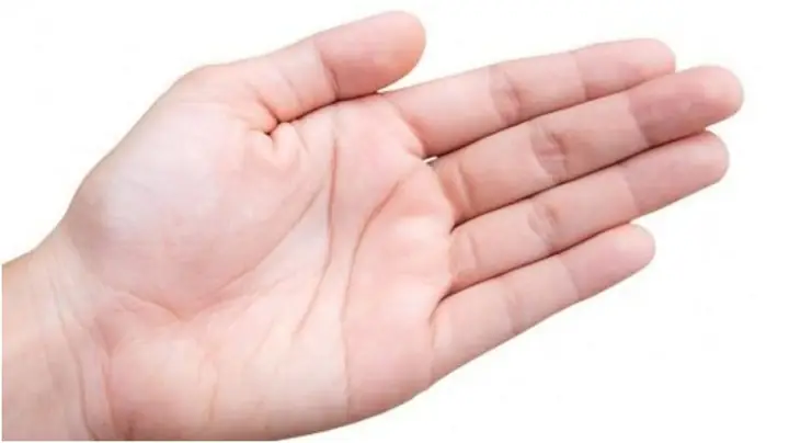 Tướng Bàn Tay Đầy Đặn Tướng Bàn Tay Đầy Đặn