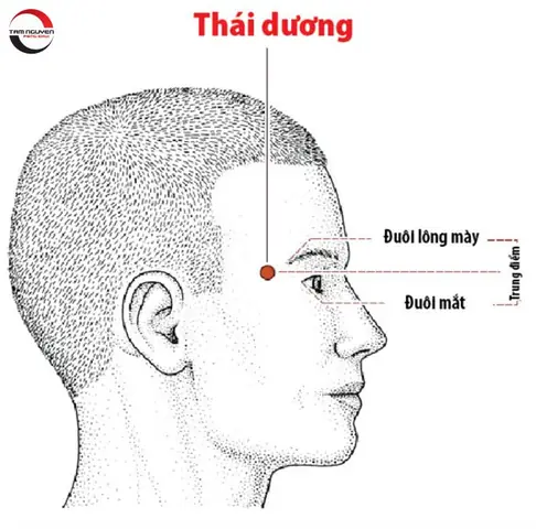 Tướng Đàn Ông Chiều Vợ