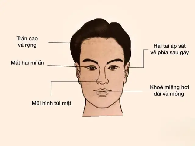 Tướng Đàn Ông Chiều Vợ