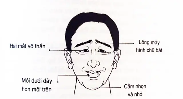 Tướng Đàn Ông Đánh Vợ Tướng Đàn Ông Đánh Vợ
