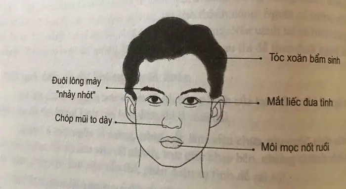 Tướng Đàn Ông Đào Hoa