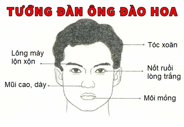 Tướng Đàn Ông Đào Hoa Tướng Đàn Ông Đào Hoa