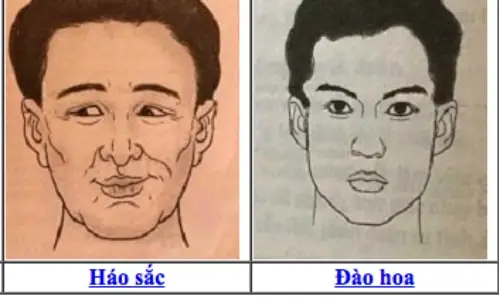 Tướng Đàn Ông Háo Sắc